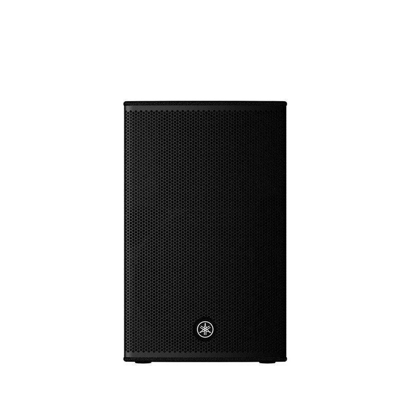 12-inch passive loudspeaker with premium plywood enclosure and rotatable horn for professional sound