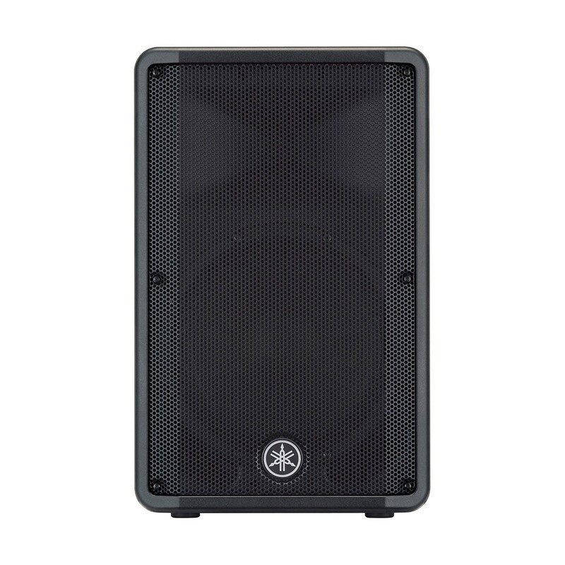 12-inch passive loudspeaker with wide-dispersion horn for portable PA systems, stage monitoring,