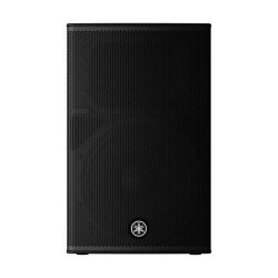 Powered PA speaker with FIR-X™ DSP and premium plywood enclosure for professional live sound and commercial AV applications.