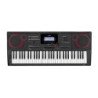 CASIO CTX-9000in