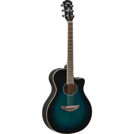 Yamaha APX600