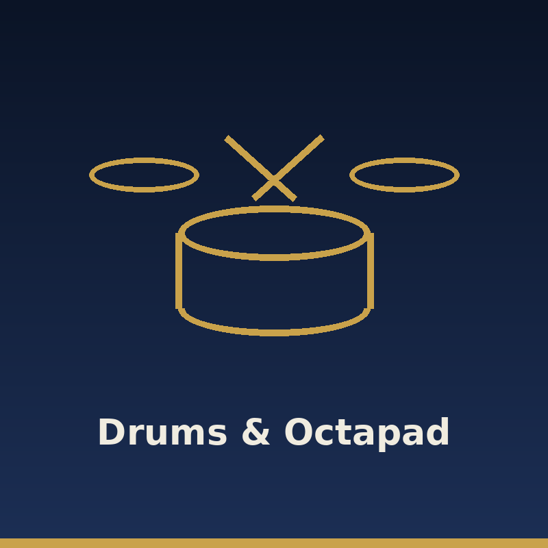 Electronic Drums & Octapads | LuminarkAV
