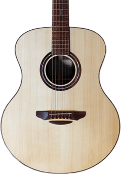 Guitar Shop Acoustic